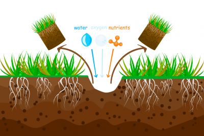 Soil Aerating