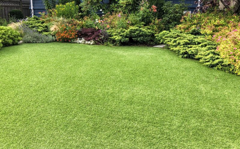 Professional Replacement Ensures High Quality Results!