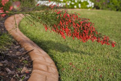 Bed Edging