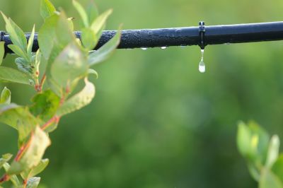 Drip Irrigation Line Service
