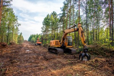 Eliminate Safety Hazards with Site Clearing Service!