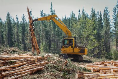 Clear the Area for Construction Projects!