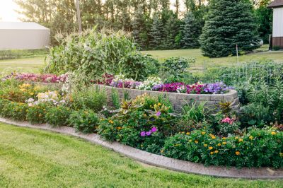 Weed and Grass Control
