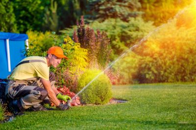 Prevent Dry or Dead Patches