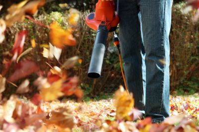 Ensure Top Quality Results By Getting Professional Fall Lawn Cleanup Service!