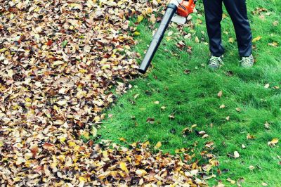 Leaf Blowing Service