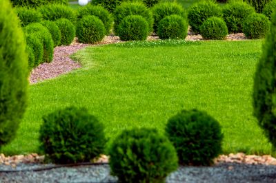 Reduces Pest and Disease Risk