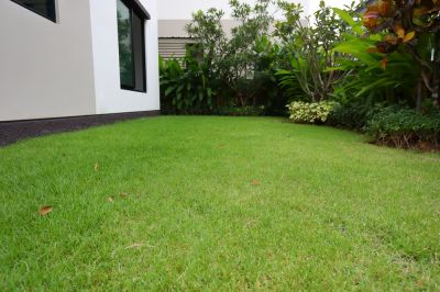 Residential and Commercial Fertilizing Services Are Available