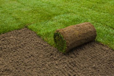 Landscape Sodding