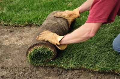 Make Sure Your Lawn is Healthy and Thriving with Sod Installation!