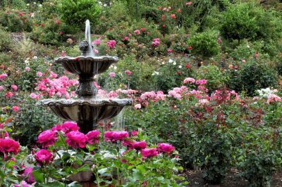 Install a Fountain!