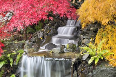 Create an Outdoor Oasis!
