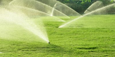 Promote Healthy Yard Growth!