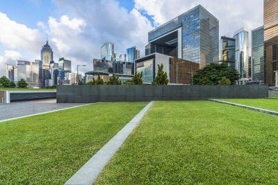 Improve The Density of Your Lawn by Giving It The Nutrients It Needs To Thrive!