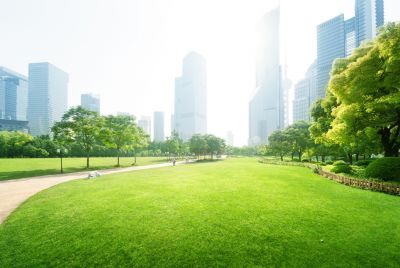 Suppress Weed Growth and Help Prevent Bare Spots With Professional Fertilizing Service!