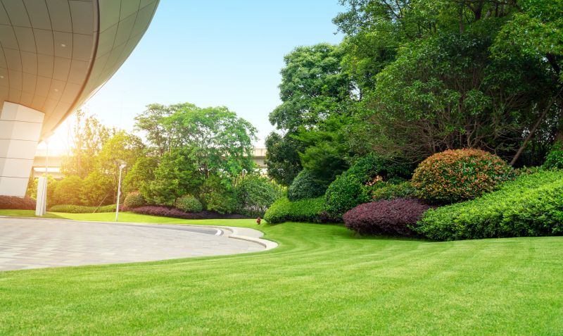 Commercial Sod Installation
