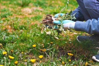 Damaged Yard Repair