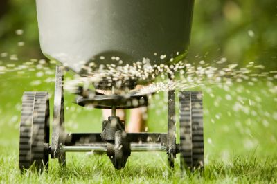 Fertilization Management
