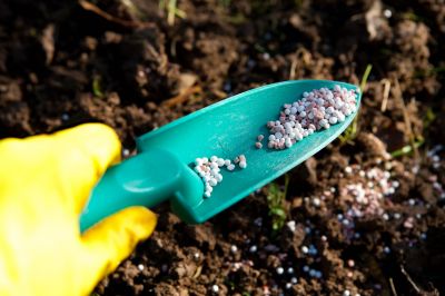 Give Your Soil The Nutrients it Needs With Professional Fertilizing!