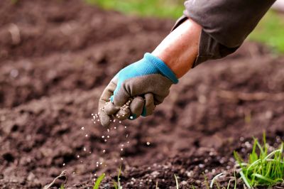 Soil Fertilizing