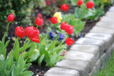 Create a Boundary with Garden Edging Service!