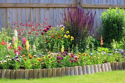 Garden Edging Service