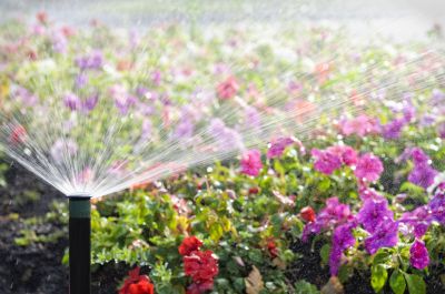 Irrigation Installation