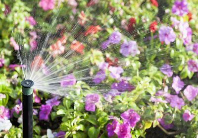 Improve The Visual Appeal of your Garden!
