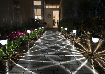 Improve the Aesthetic Appeal of Your Landscape!