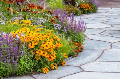 Increased Curb Appeal