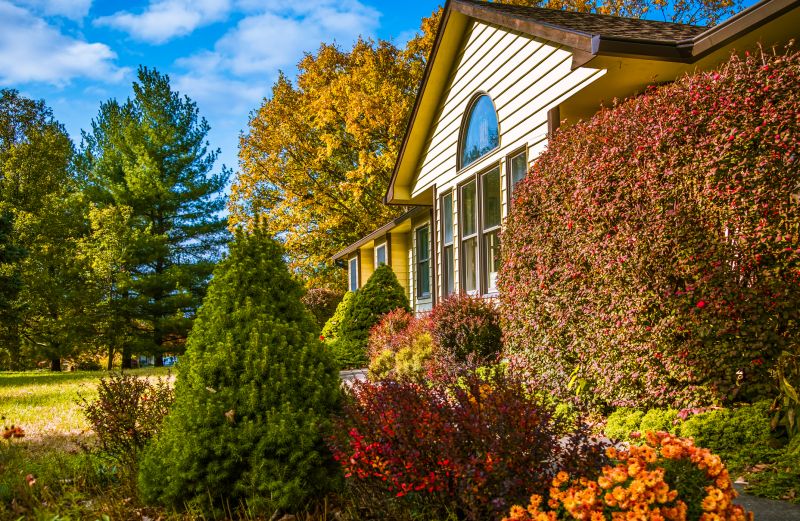 Front Yard Renovating