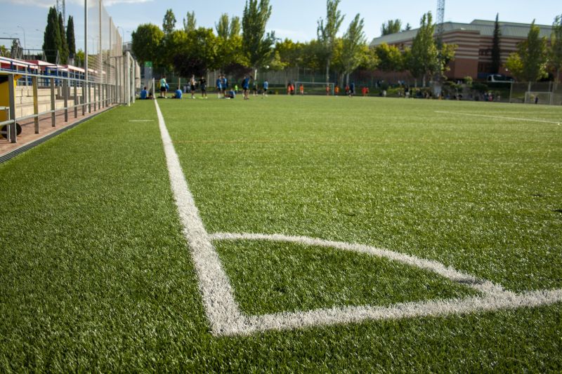 Improved Turf Health