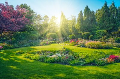Flower Planting