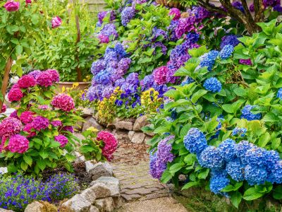 Seasonal Variety