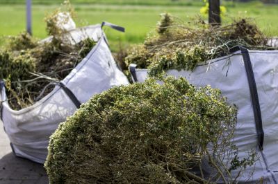 Shrub Removal