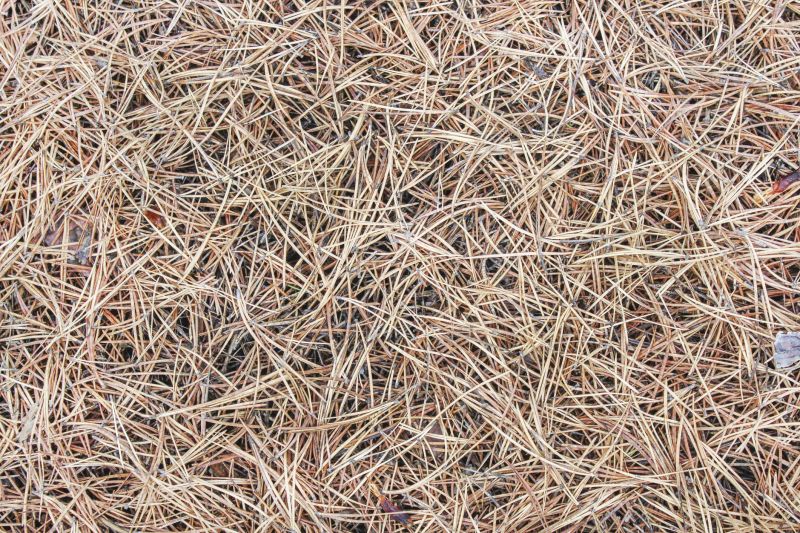 Control Weed Growth With Professional Pine Straw Installation!