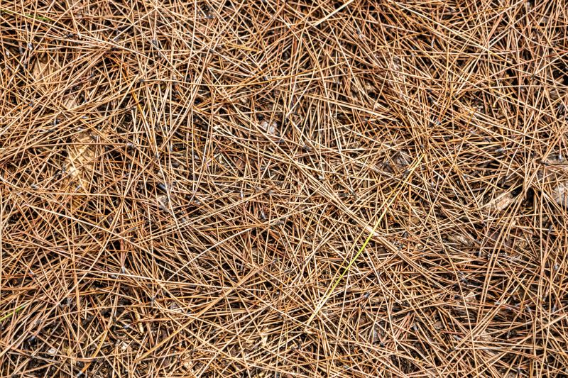 Improve Moisture Retention With Professional Pine Straw Installation!
