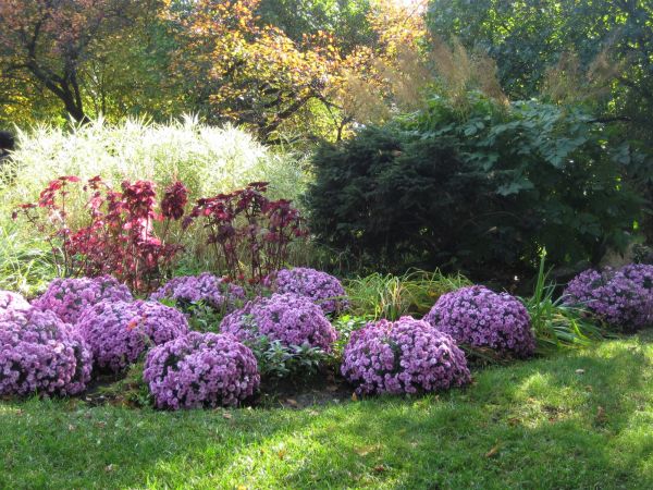 Well-planned landscape reduces maintenance costs