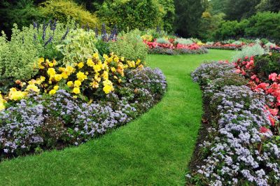 Support Your Garden's Health