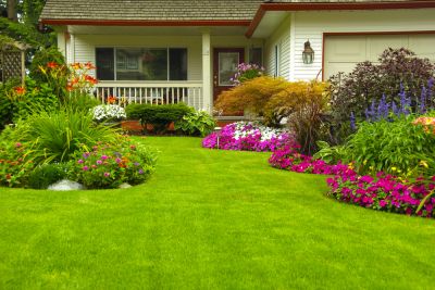 Optimize Plant Growth with Lawn Fertilization!