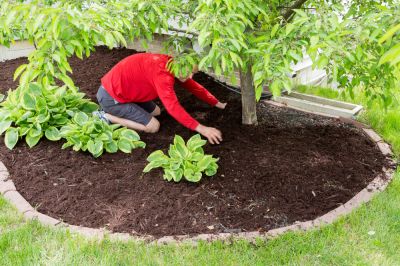 Prevent Weeds and Improve Curb Appeal!