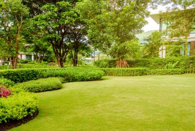 Get Professional Lawn Seed Installation!