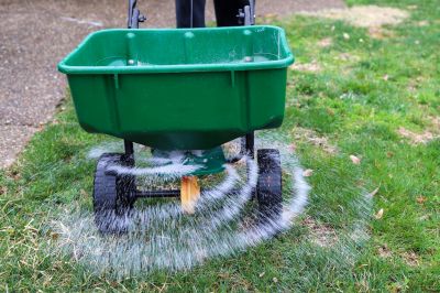 Grass Seed Installation