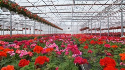 Encourage the Healthy Growth of Your Plants!
