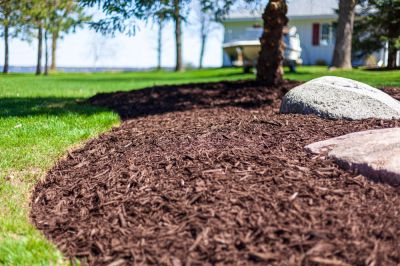 Get Professional Landscape Mulching!