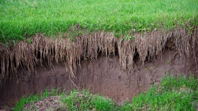Repair the Effects of Erosion with Damaged Yard Repair!
