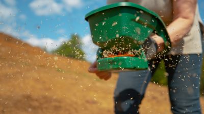Residential Lawn Seeding