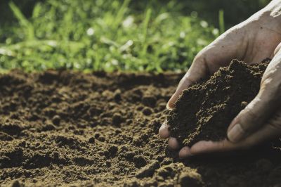 Give Your Plants The Soil They Need To Grow!