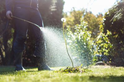Geet Weed Control for Your Property!