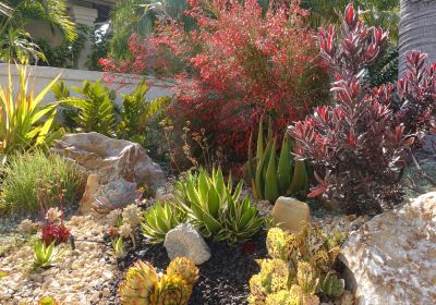 Beautiful Landscaping Options!